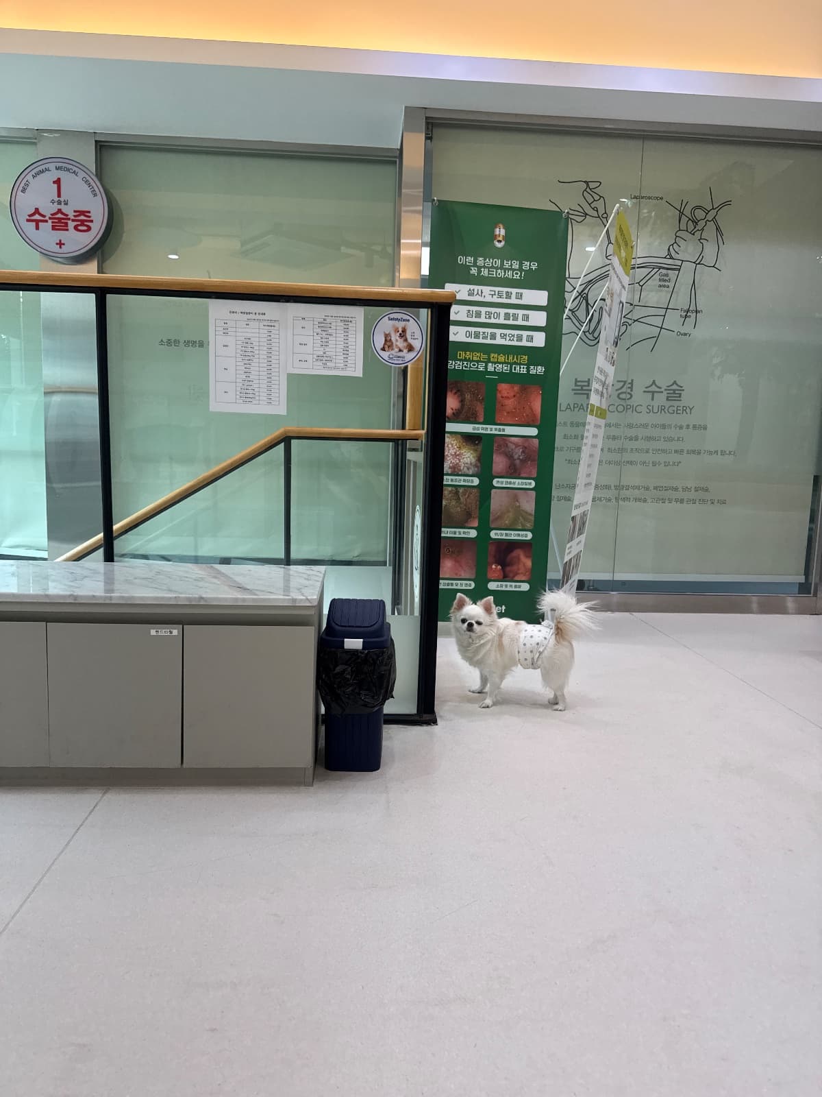 이구름의 사진 (2/4)