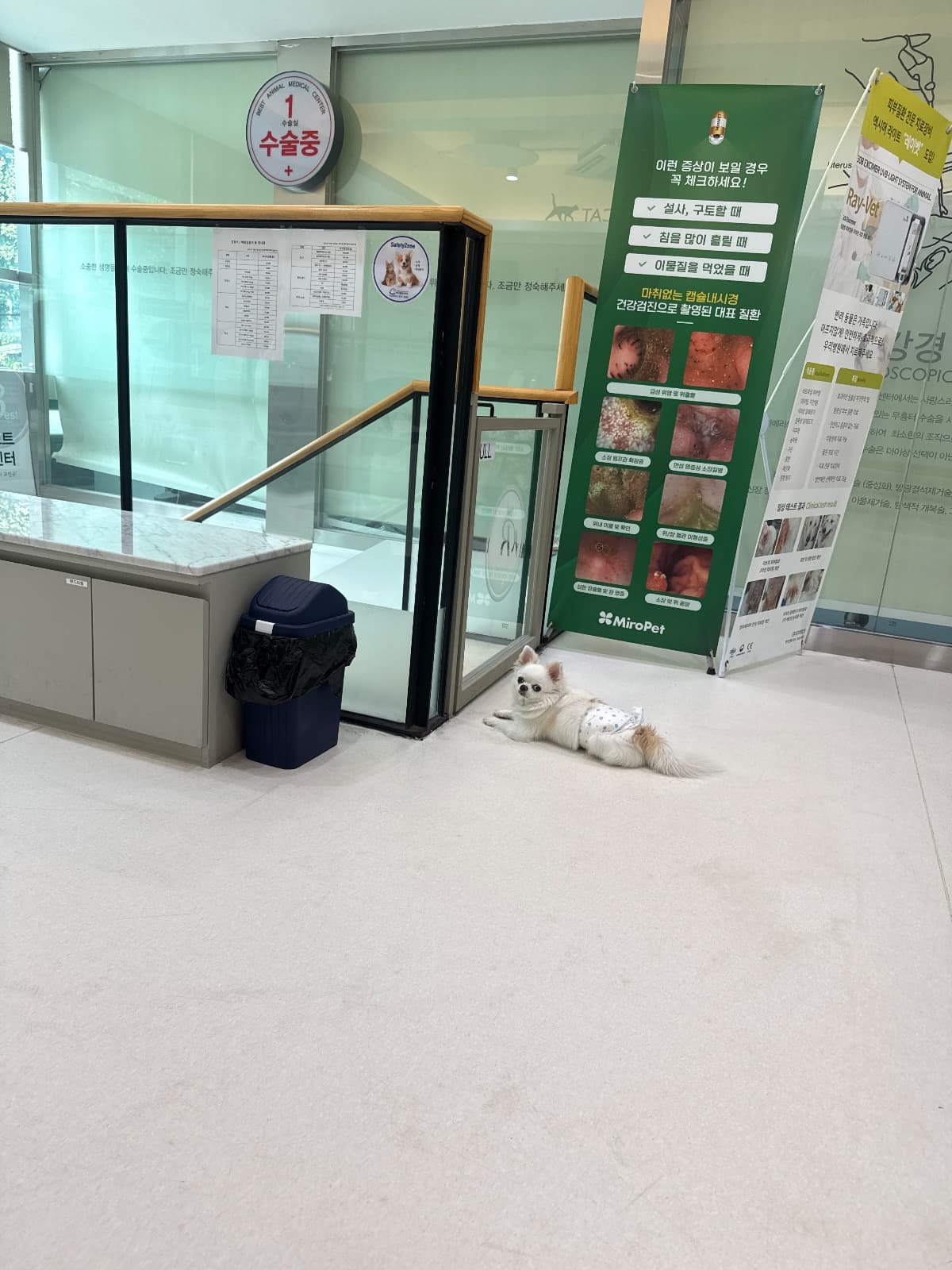 이구름의 사진 (4/4)