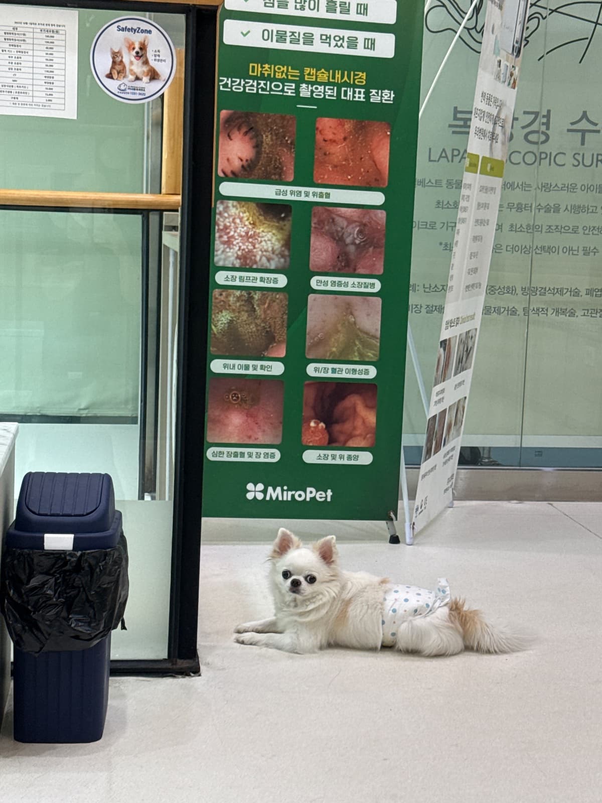 이구름의 사진 (3/4)