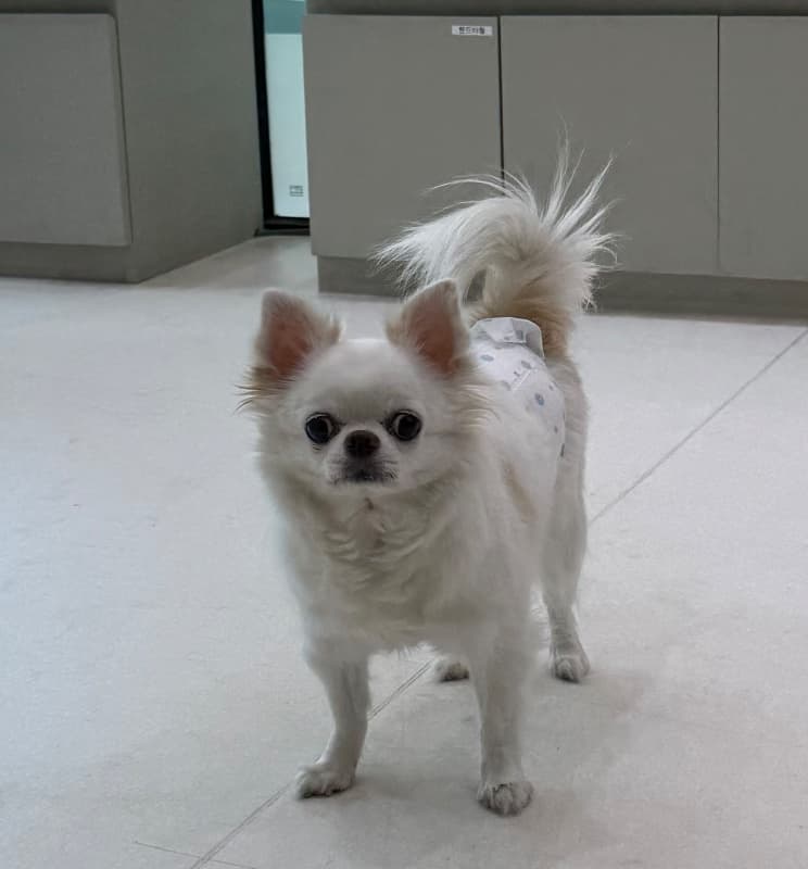 이구름의 프로필 사진