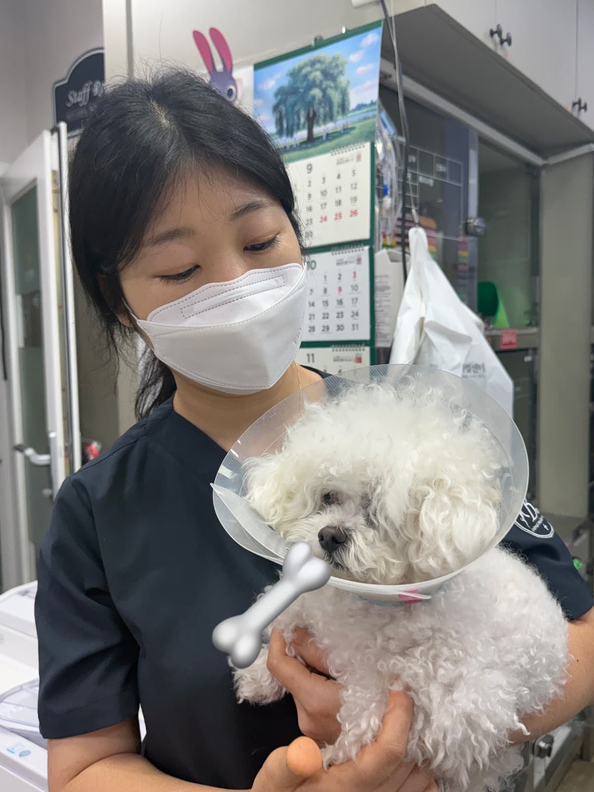 이구름의 사진 (1/2)