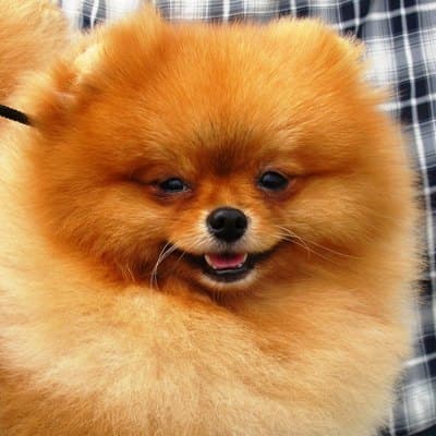 몽실이의 프로필 사진